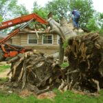 affordable tree service houston