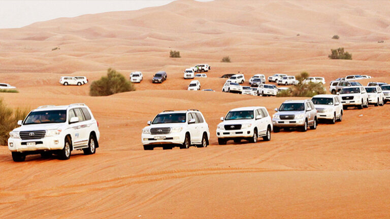 Dubai Desert Safari Tours